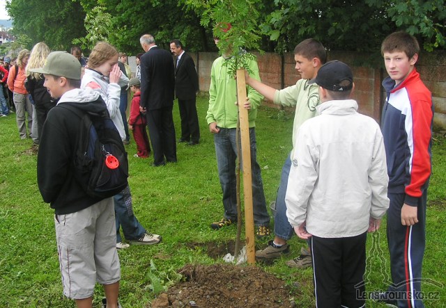 07-predani vysazene aleje.jpg